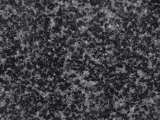 Indian Impala Black Granite